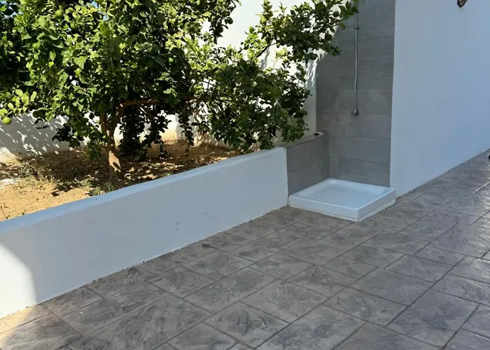 Naxos * プロタラス